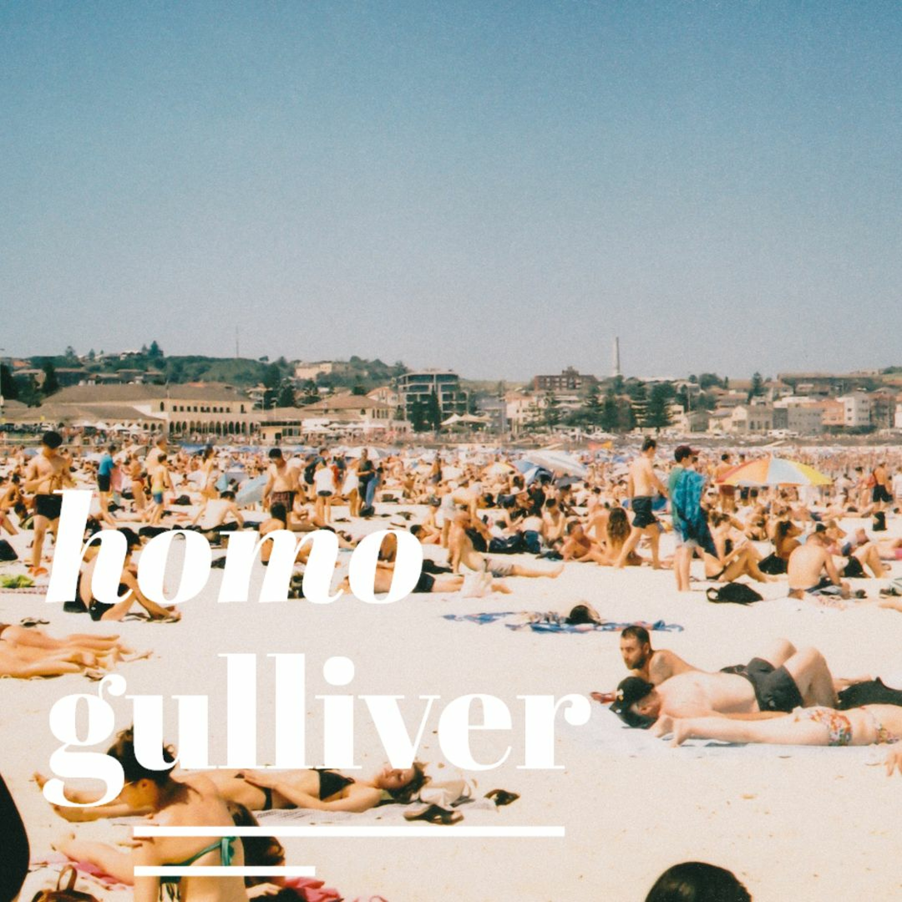 Homo Gulliver