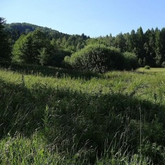 jarni, lucni monoton