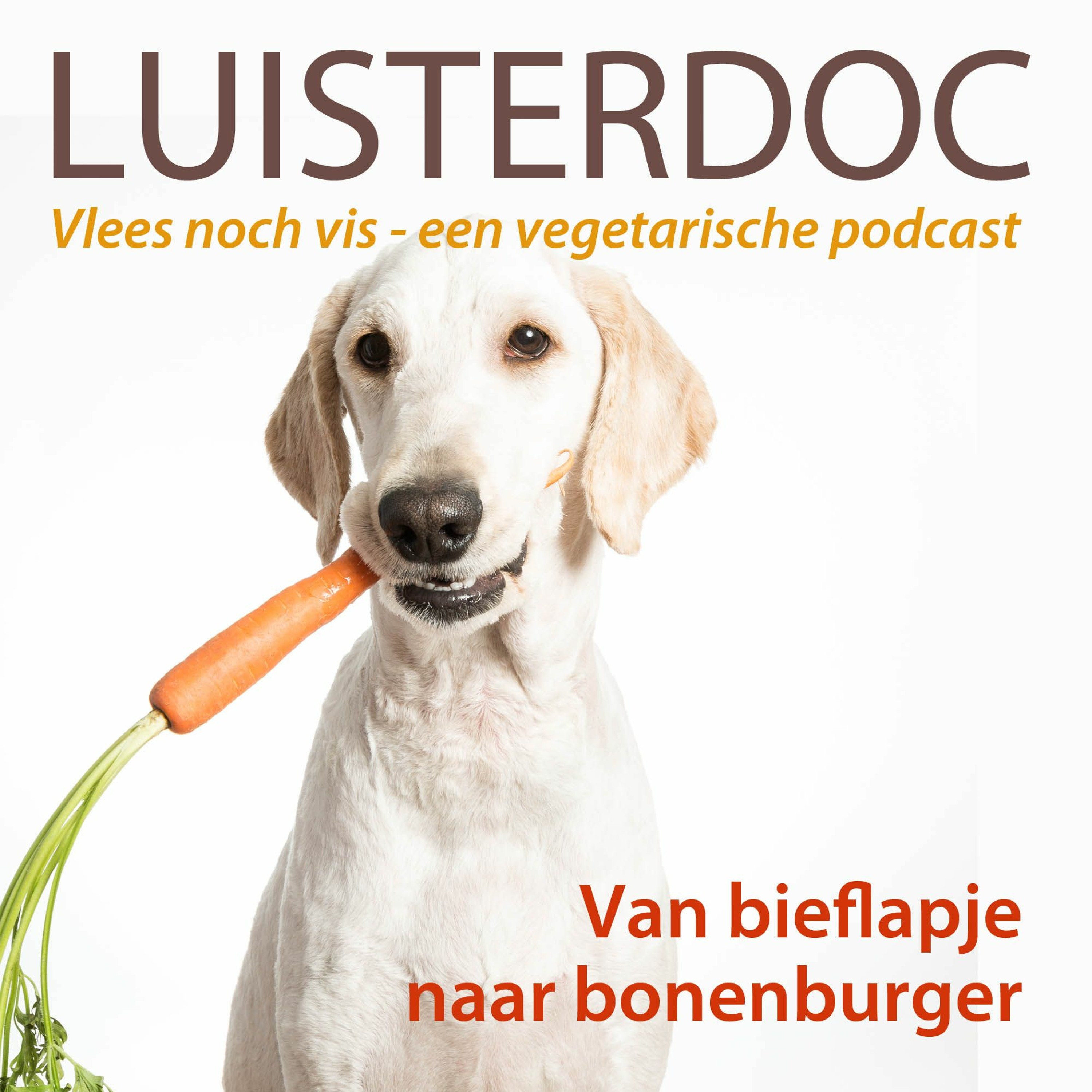 Luisterdoc