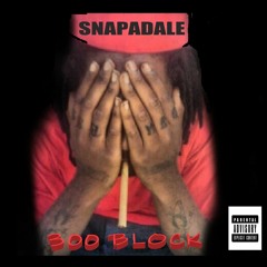SNAP N GO X MR8220 X SNAPADALE