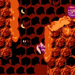 Flight of the Zinger - Donkey Kong Country 2 [2A03]