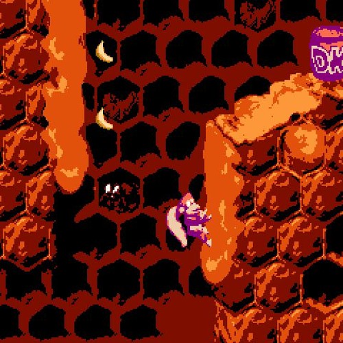 Flight of the Zinger - Donkey Kong Country 2 [2A03]