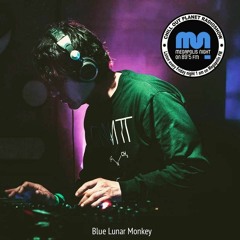 Blue Lunar Monkey - Chill Out Planet Radioshow on Megapolis 89.5 FM (29-03-2019)