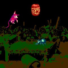 Bayou Boogie - Donkey Kong Country 2 [2A03]