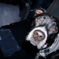 nightmares (video link in description)