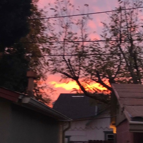 SUNSET MINDSET (prod. YZ 虎)