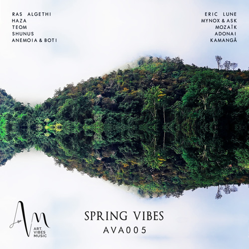 PREMIERE: Haza - Sway (Original Mix) [Art Vibes]