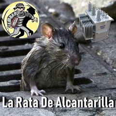 La Rata De Alcantarilla