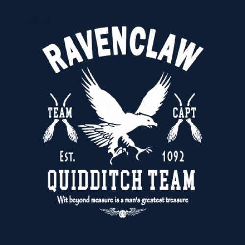 The Quiditch World Cup I Harry Potter and the Goblet of Fire