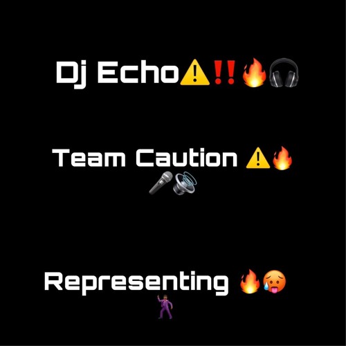FLEX X ECHO CAUTION part 2