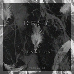 ZB x ATION - DNSY