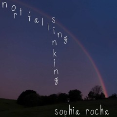 notfallingorsinking