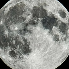 The Chicken Song (I Don't Wanna Die)