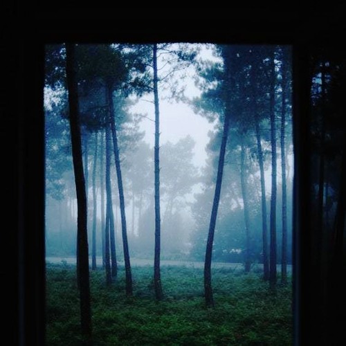 𝙷𝚎𝚊𝚟𝚢 𝙴𝚢𝚎𝚜