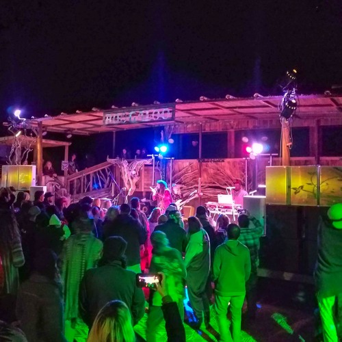 Paul Silva live @ Desert Rhythm Project Album Release Campout