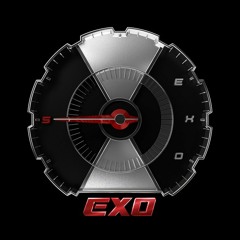 Tempo(节奏)- Chinese Version - EXO // Cover by Phyllis Lim
