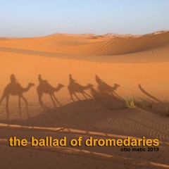 The Ballad Of Dromedaries
