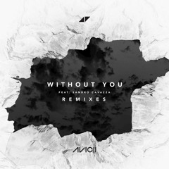 AVICII- Without You Ft Sandro Cavazza ( Bailey McKellar Remix) ( Extended Mix)
