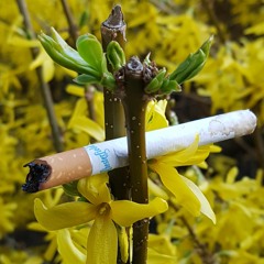 Ich halt mein Bankkonto clean