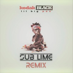 Kodak Black - Too Many Years (feat. PNB Rock) (SUB LIME Remix)