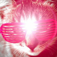 Robi and the Cats of Brasil #1 (Bass House, Brazil Bass & Electro House)