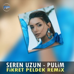 Seren Uzun - Pulim (Fikret Peldek Remix) 2019