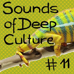 chameleon #11 - Sounds of Deep Culture - Spheres