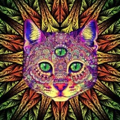 Life Is Beautiful PsY Trance_DJ RUBIX x DJ YAKEZ_ ( 256kbps cbr ).mp3