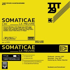 Somaticae - SplinterItIntoAThousandPieces
