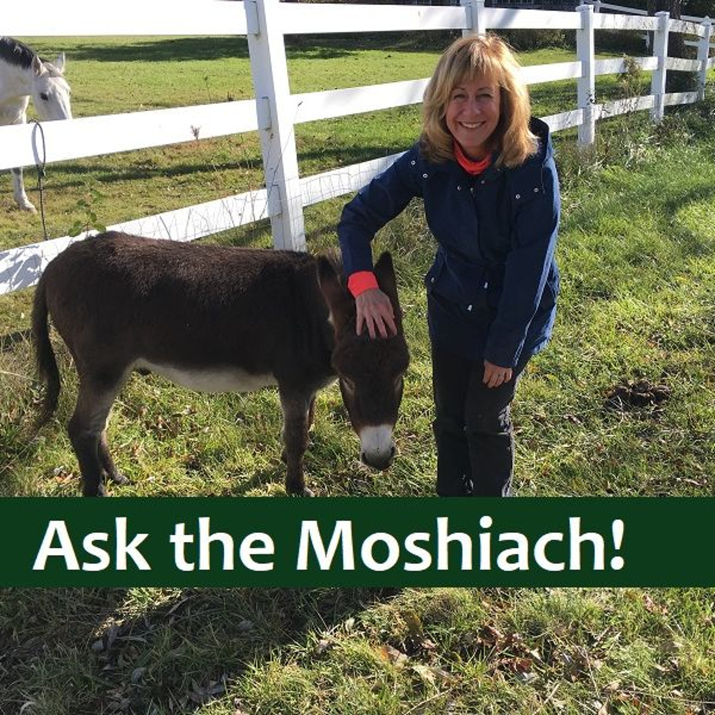 Ask The Moshiach! How Can A Woman Be Messiah When Everyone Expects A Man? episode artwork