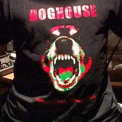 Fool by Doghouse - (tunnelmental mix)