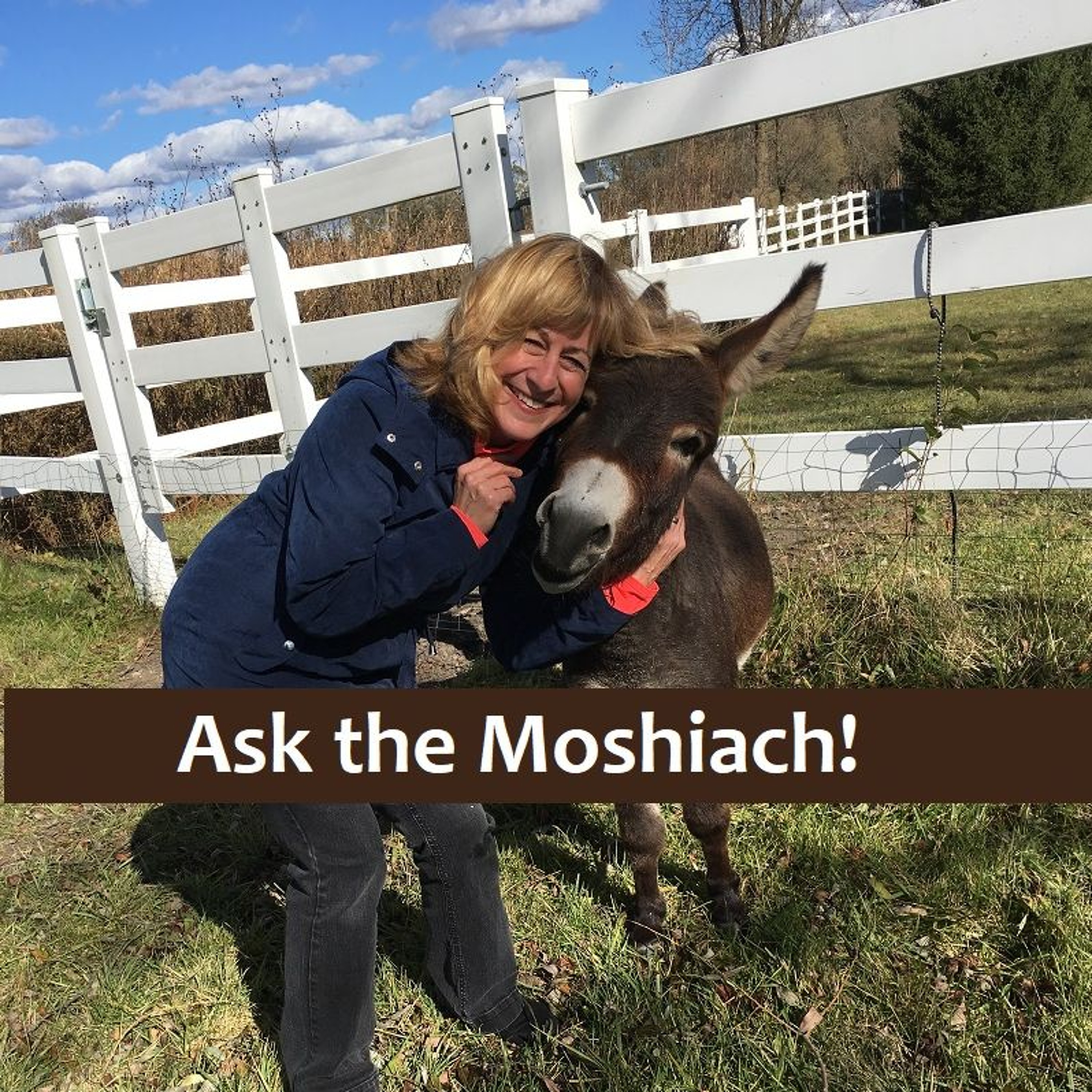 Ask The Moshiach! How Do I Know I Am Moshiach a.k.a Messiah? episode artwork