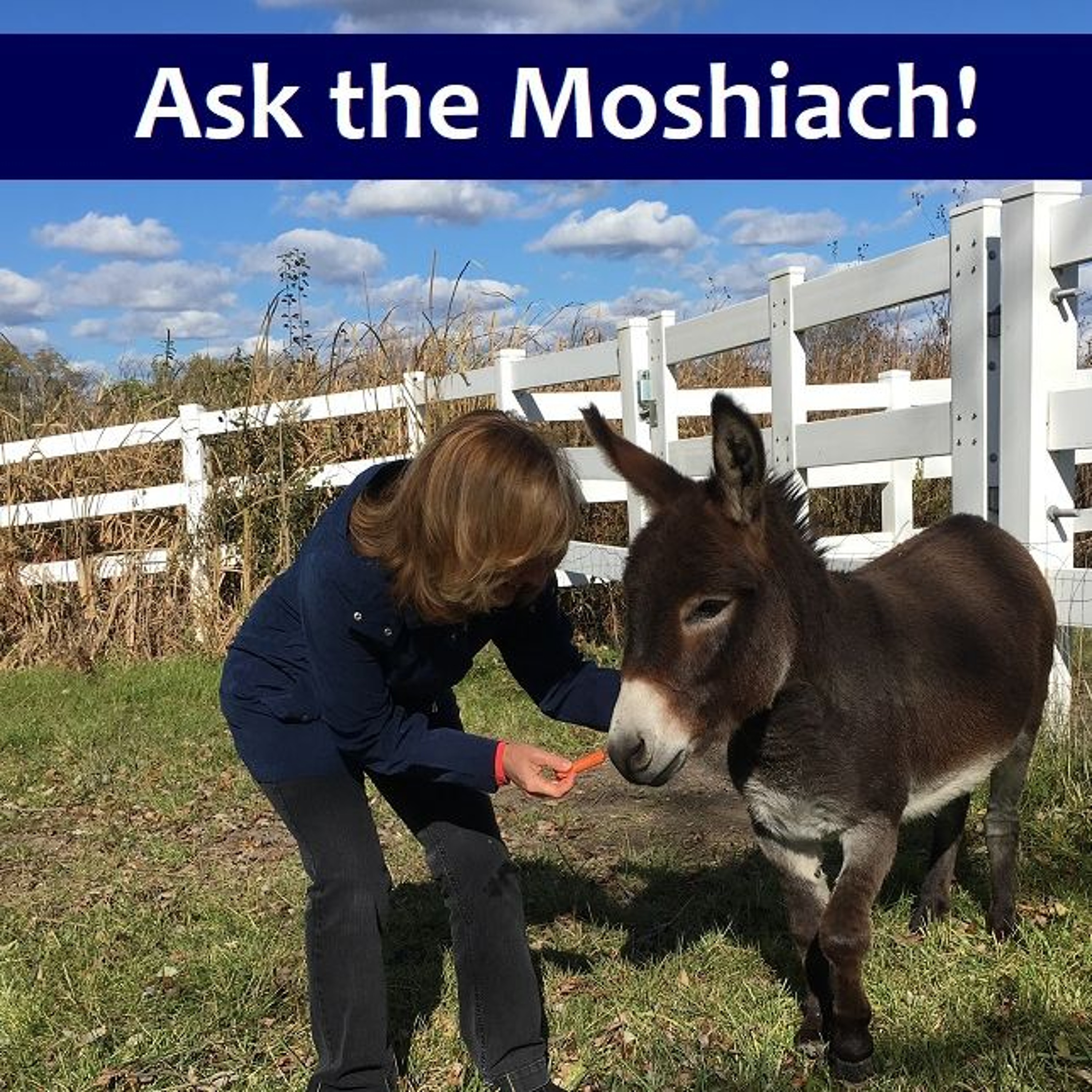 Ask The Moshiach! What Makes Me Qualified To Be Moshiach a.k.a. Messiah? episode artwork