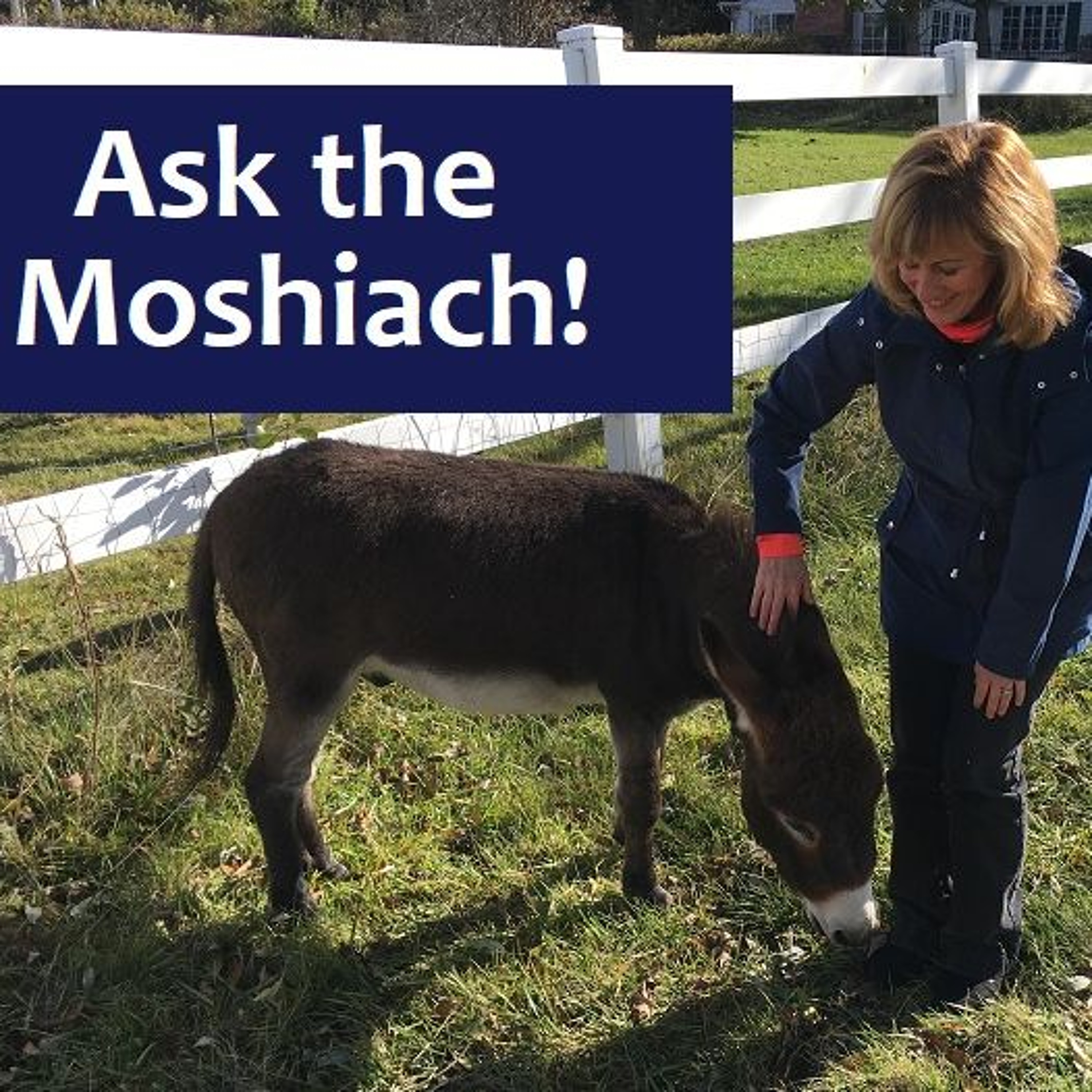 Ask The Moshiach! What Makes Me Uniquely Different From Everyone In Humanity? episode artwork