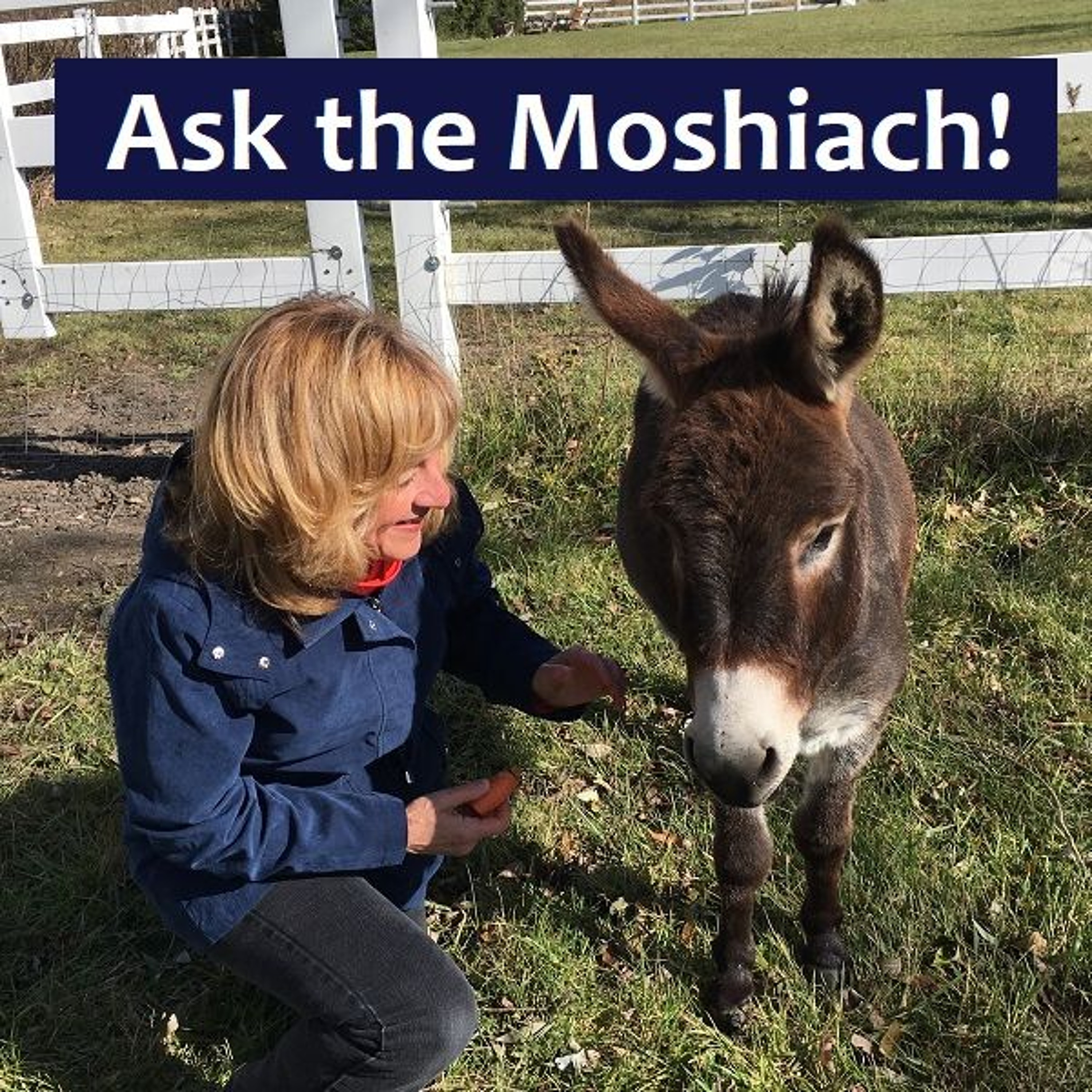 Ask The Moshiach! Why Should You Take Me Seriously? episode artwork