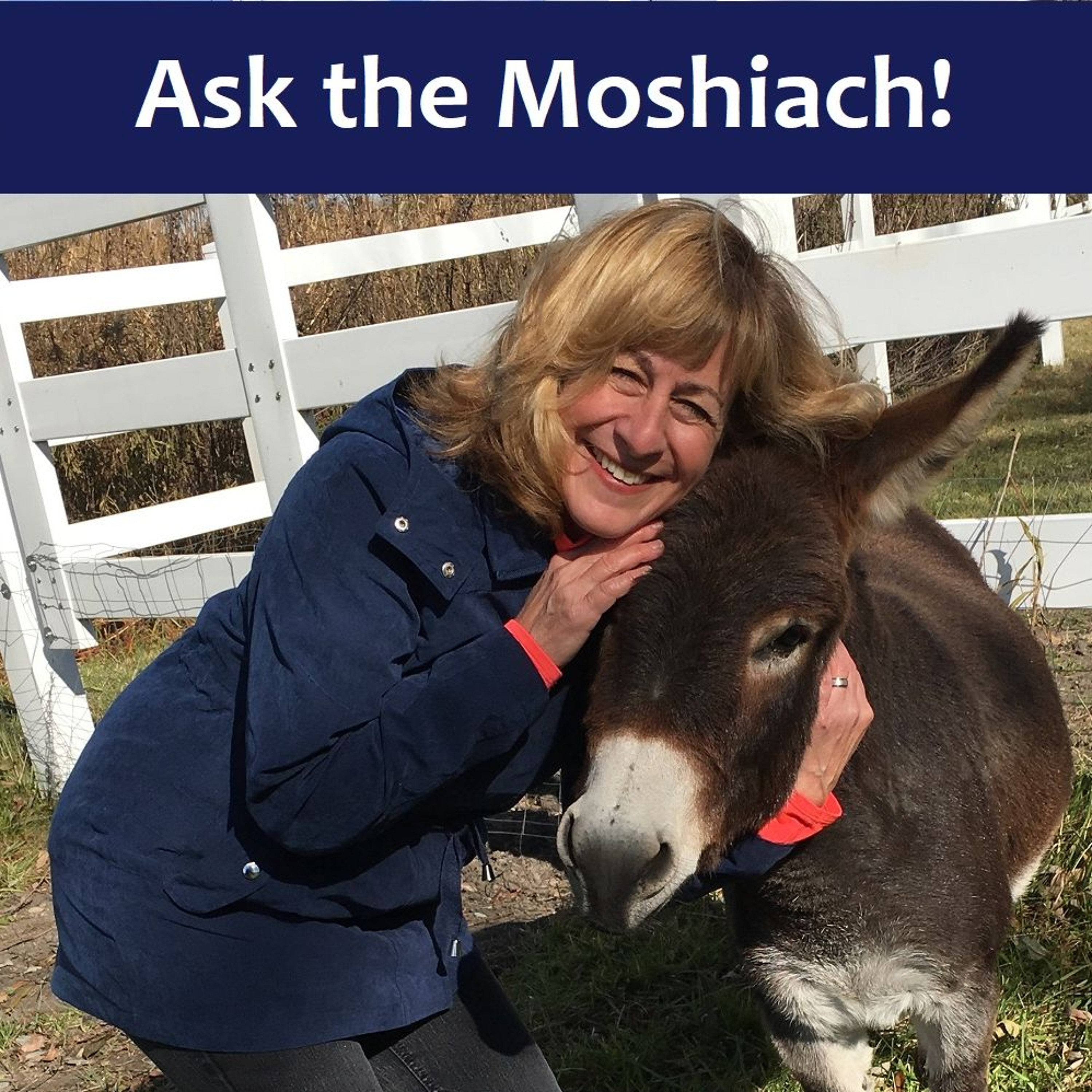 Ask The Moshiach! Which Religious Group Owns The Messiah? episode artwork