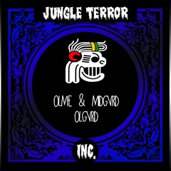 Olme & Midgvrd - OLGVRD (Original Mix)[JTI PREMIERE]