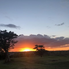 La Jungla - TWO MIXS