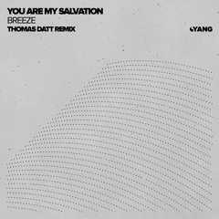 You Are My Salvation - Breeze (Thomas Datt Remix) [Yang]