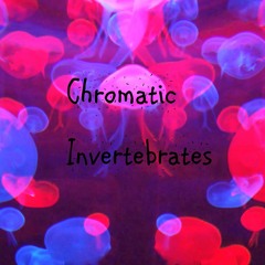 Chromatic Invertebrates