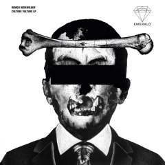 Remco Beekwilder - Culture Vulture