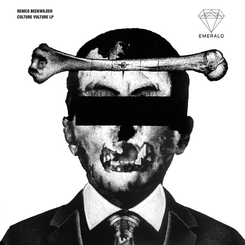 Remco Beekwilder - Culture Vulture
