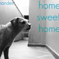 The winter song of the homeless