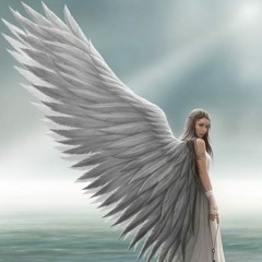 #Angle -  Zoopnama (2019) #Mud Revolution