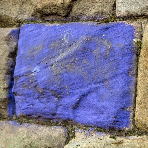 halF camouflagE