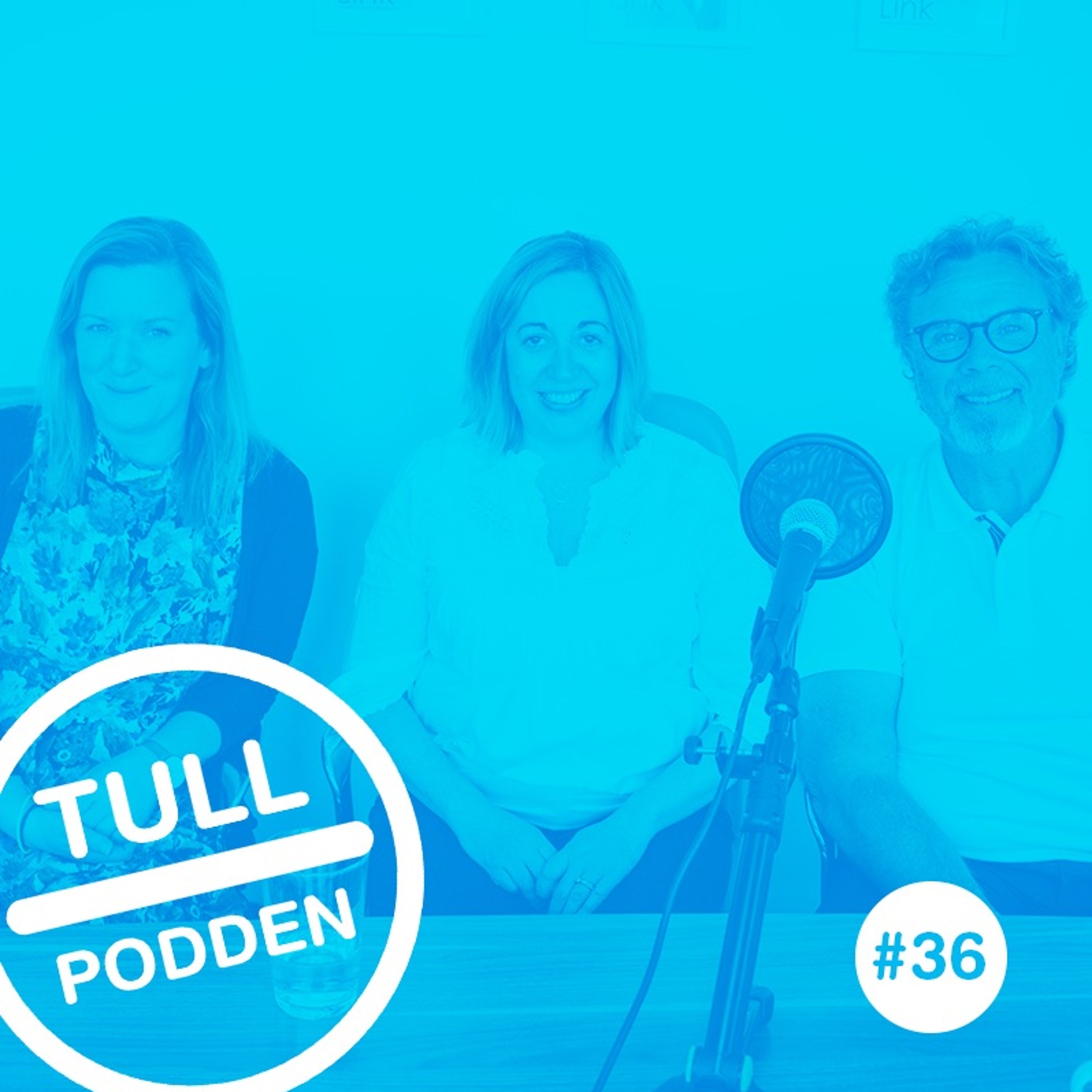 Tullpodden