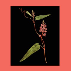 The Ballad Of Lea Meadows (Keith Sweaty Remix)