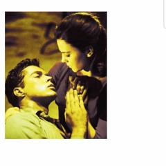 Pipe Dream (Alaphillippe)