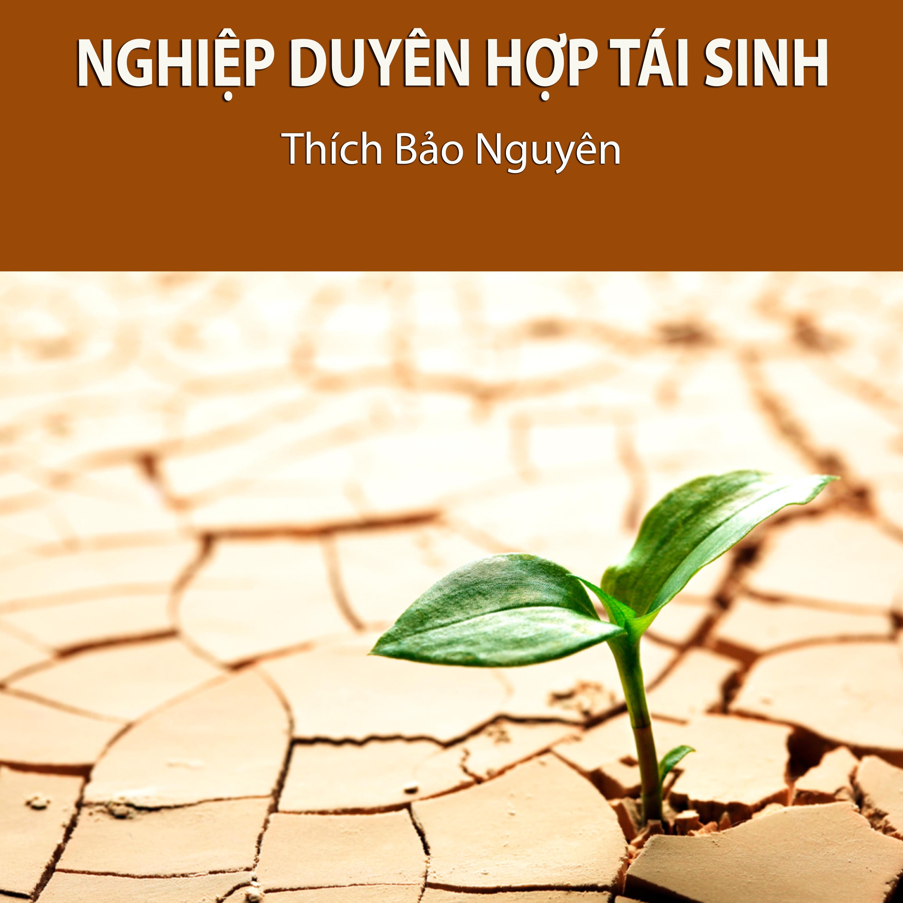 Thích Bảo Nguyên