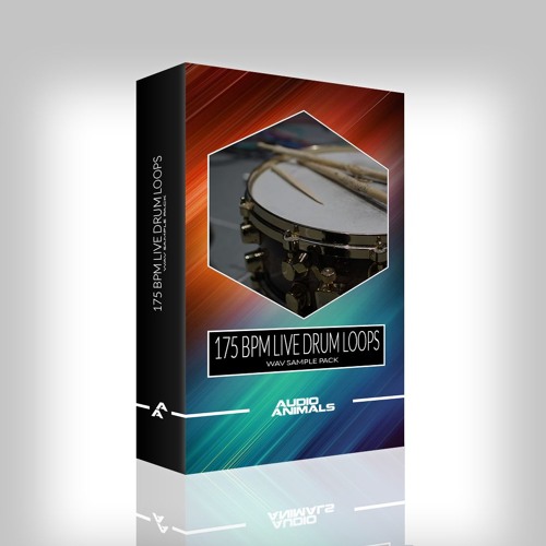 Stream 175 BPM Live Drum Loops Hi Hat Loop 18 by AudioAnimals